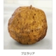 �֥�����ܥǥ��ߥ륯